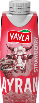 Food Waste bekämpfen - Yayla Ayran Erdbeer 250ml