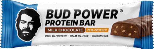 Bud Power Proteinriegel Schokolade 45g
