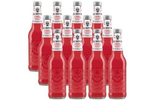 Galvanina Gazosa Mandarine Kaktusfeige Bio 12x355ml