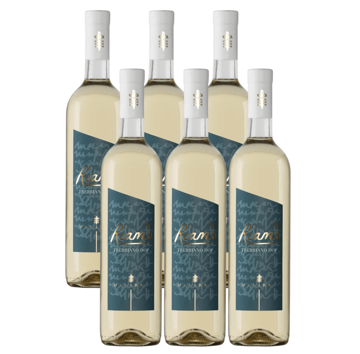 Food Waste bekämpfen - Riamò Trebbiano d'Abruzzo DOP 2024 6x0.75l