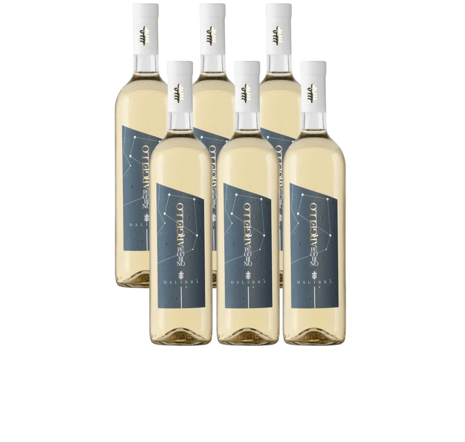 Food Waste bekämpfen - Argello Pecorino IGP Terre di Chieti 2024 6x0.75l